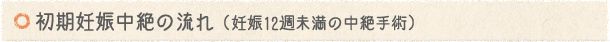 初期妊娠中絶の流れ(妊娠12週未満の中絶手術)
